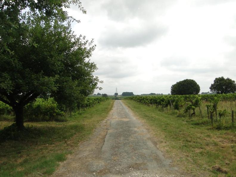 Chateau Monichot Organic Vineyard Tauriac  Екстер'єр фото